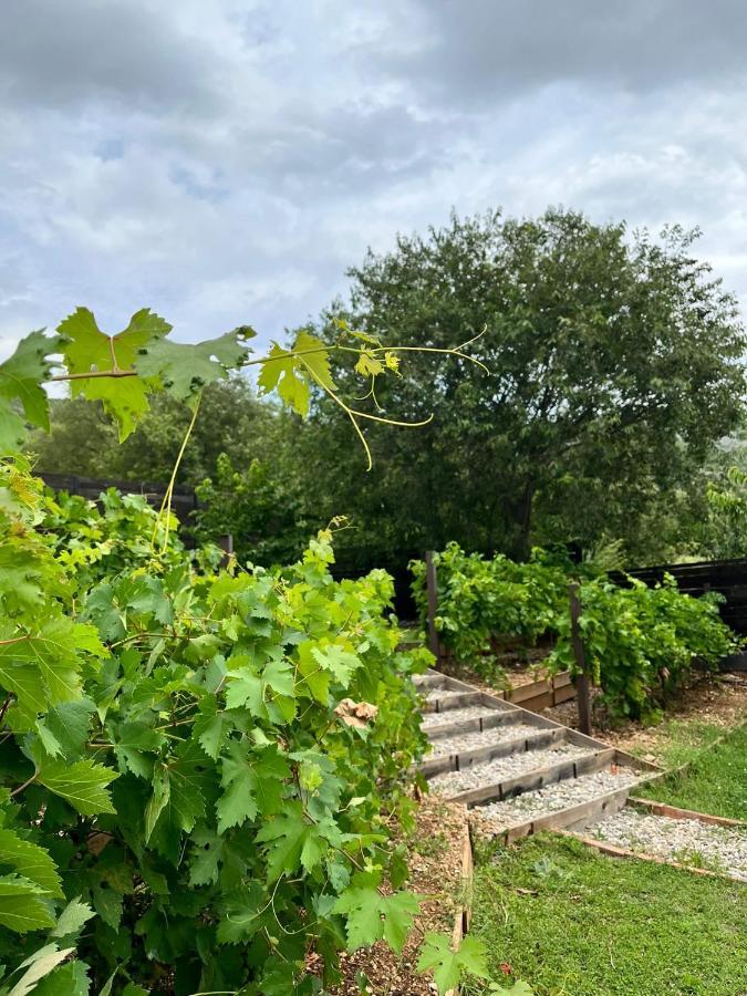 Villa Herzegovina Mostar Zewnętrze zdjęcie